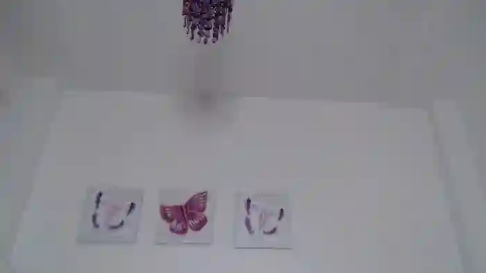kimberK