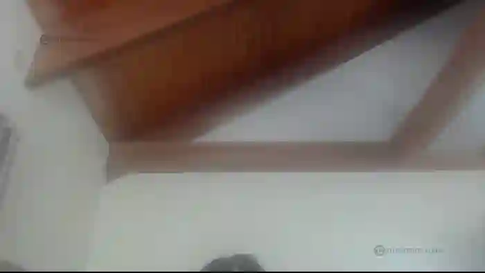TaylorMarieX