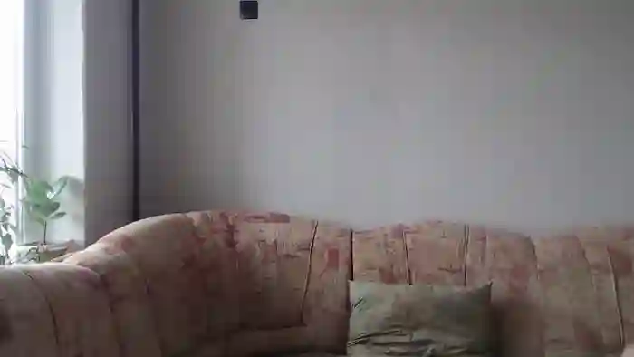 RemyMiles