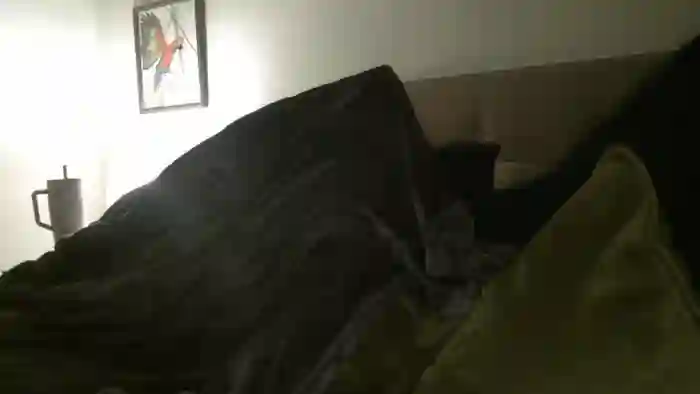 Yourmorningwakeupcall