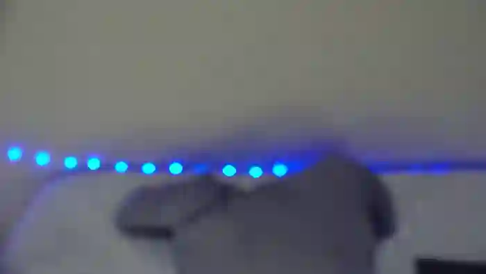 Bella_shine