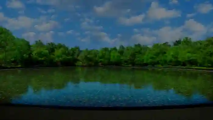 MistressHunterScores