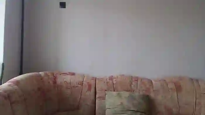RemyMiles