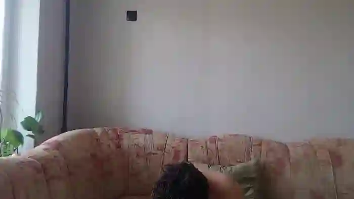 RemyMiles