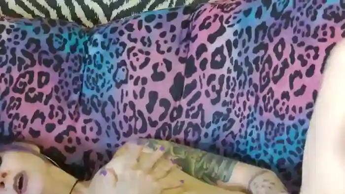 Kitty_Fox