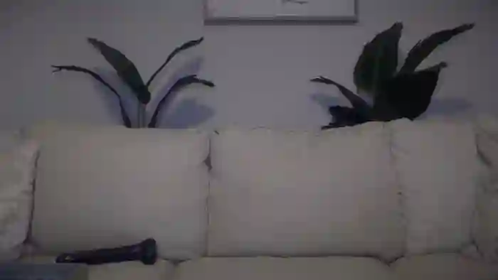 MistressHunterScores