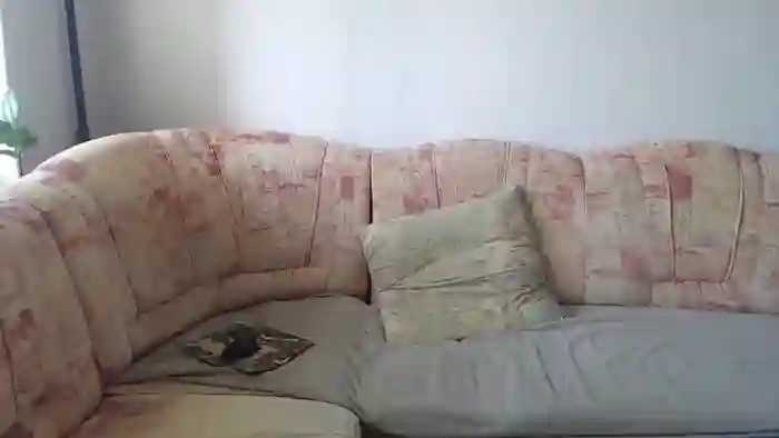 RemyMiles