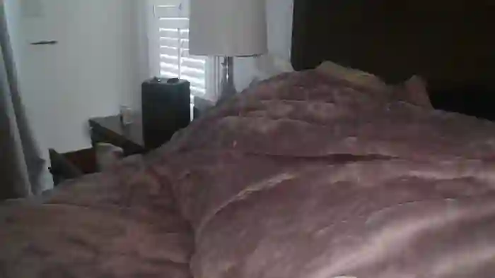 Yourmorningwakeupcall