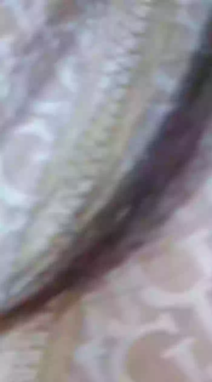 NathalieDream