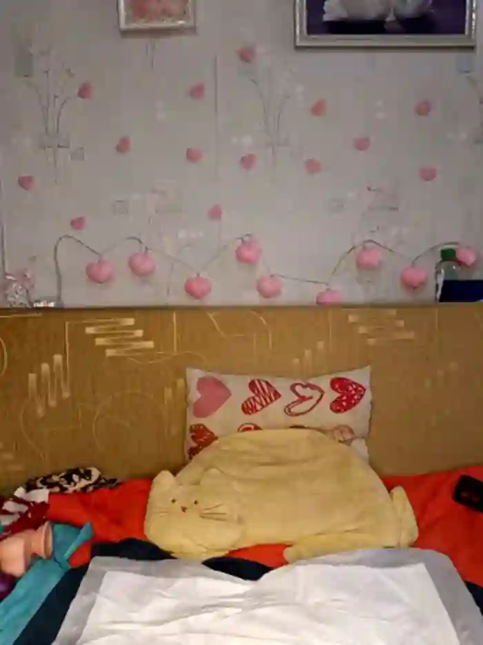 Katti_Kissa