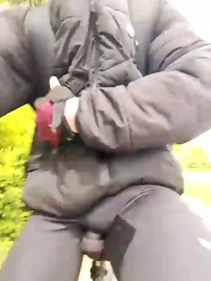 Zeefy