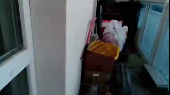 Pamella007