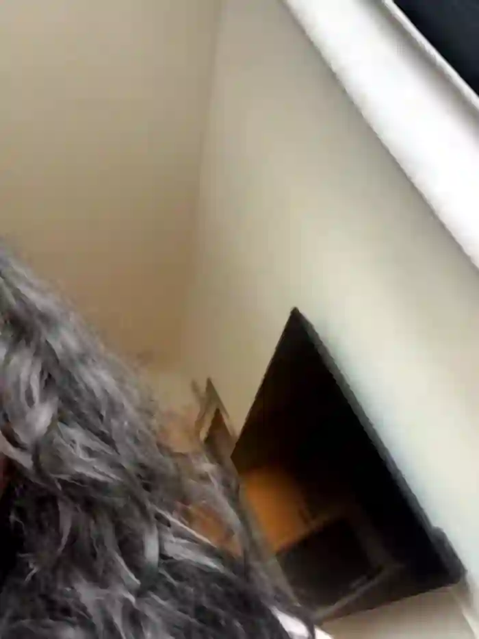 saphiyraamoreofficial