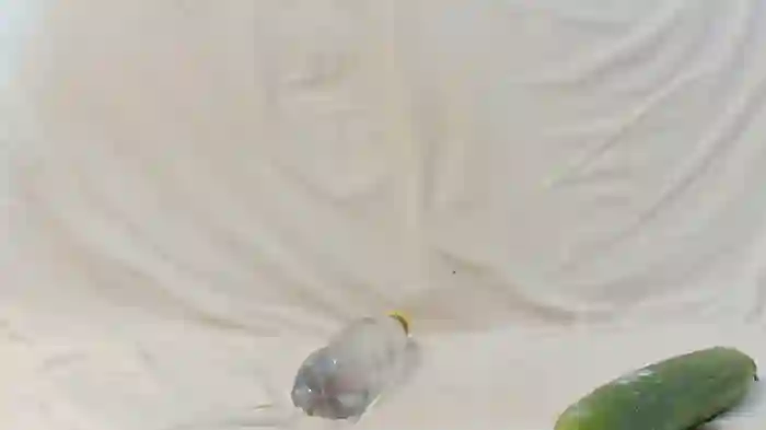 Vanessa117