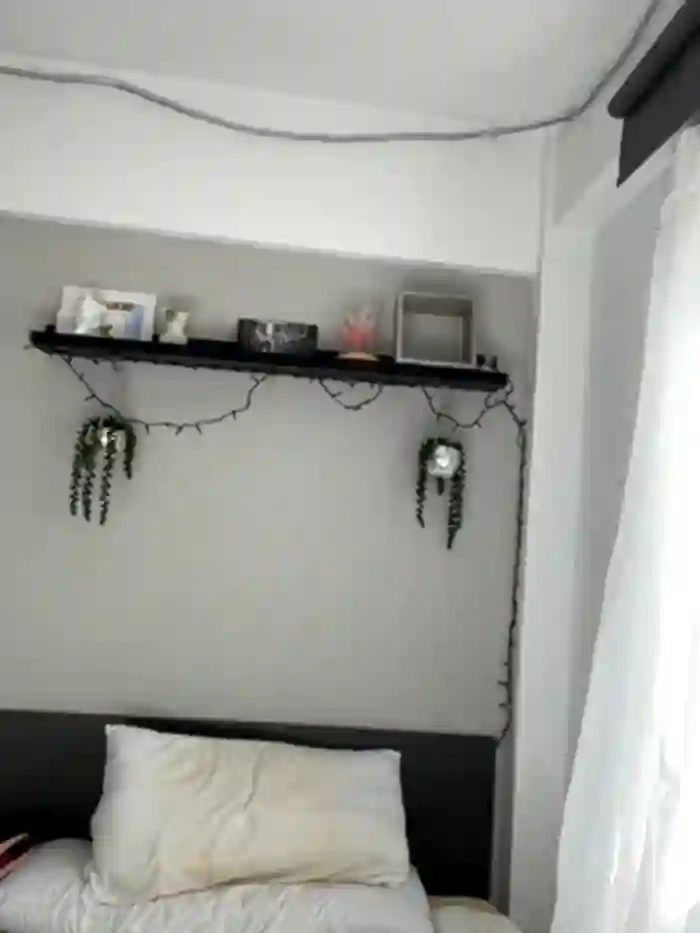 Enyeld_ruru