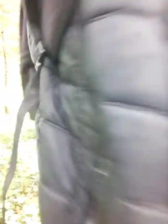 Zeefy