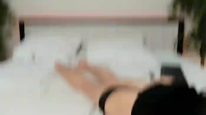 PalmaMorera