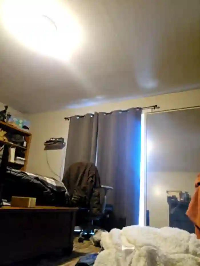 Armyexhibitionistveteran