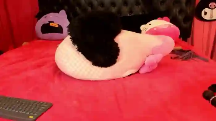 EVILYN