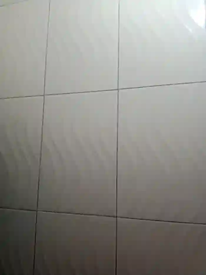 _Miaaleon