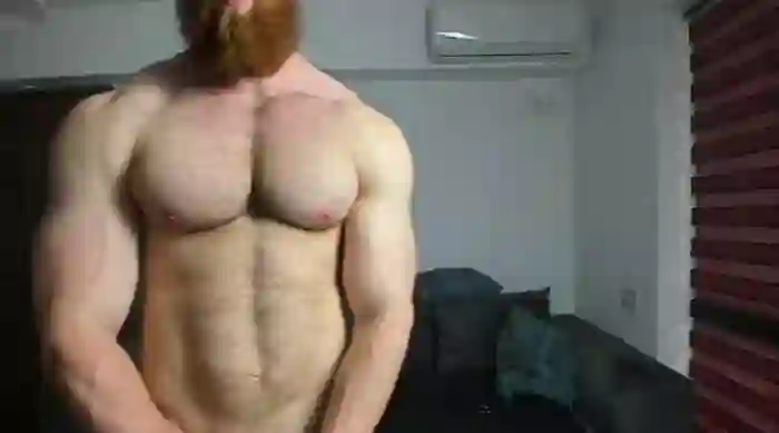 ZkkBlitz