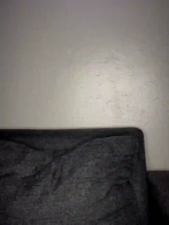 Tiny_1803