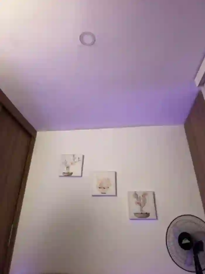 Megan_lu2