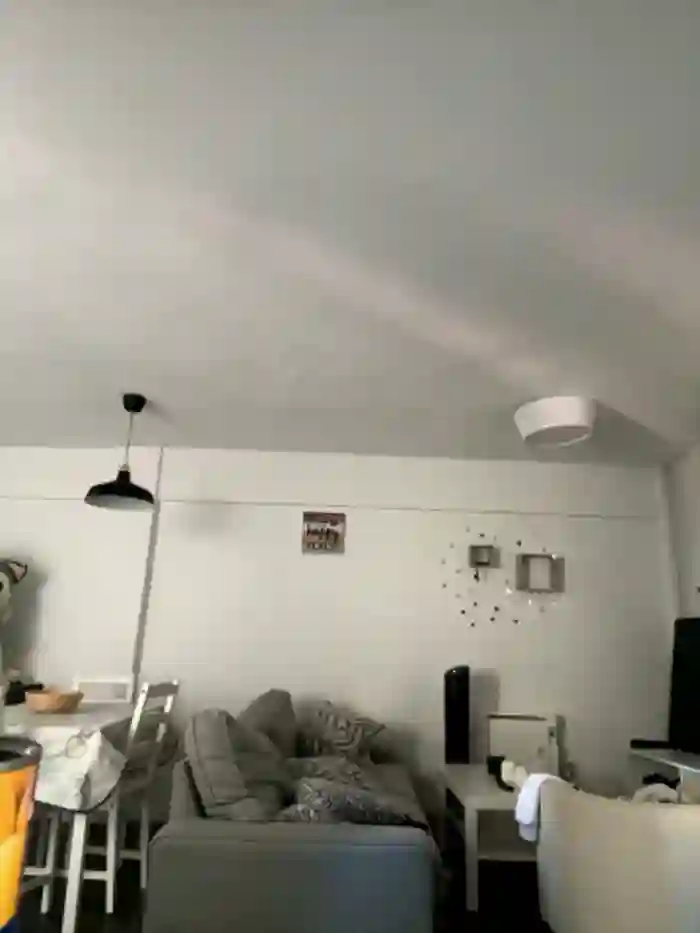 Enyeld_ruru