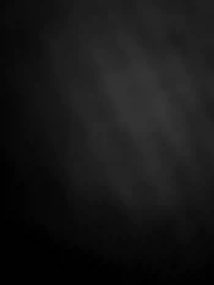 Armyexhibitionistveteran