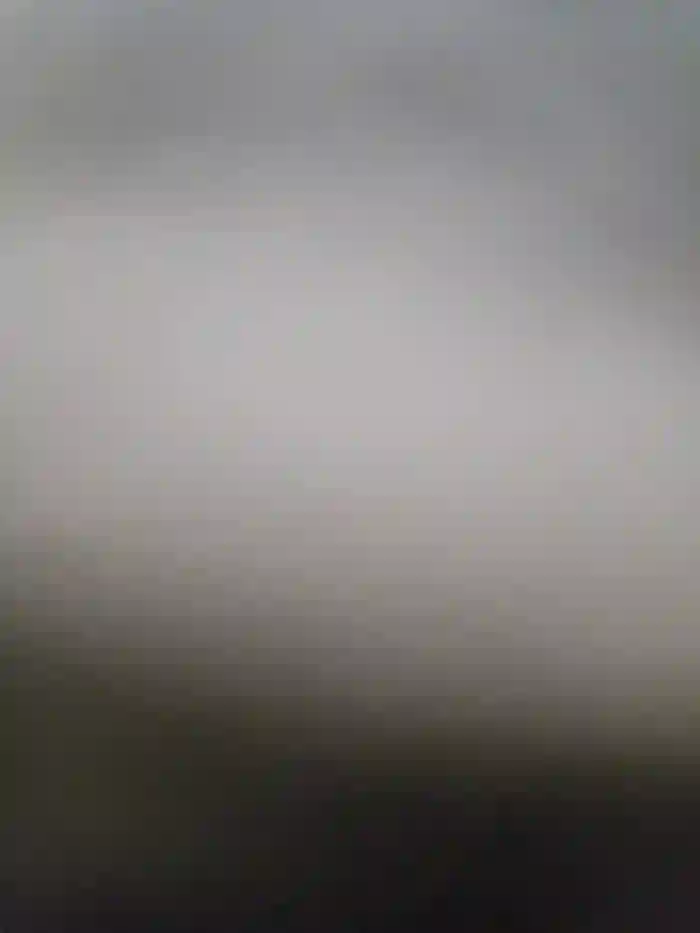 Armyexhibitionistveteran