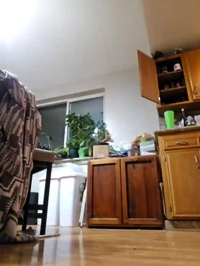 Armyexhibitionistveteran