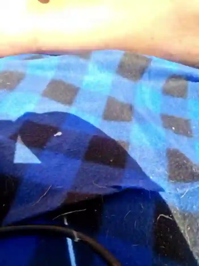 Armyexhibitionistveteran