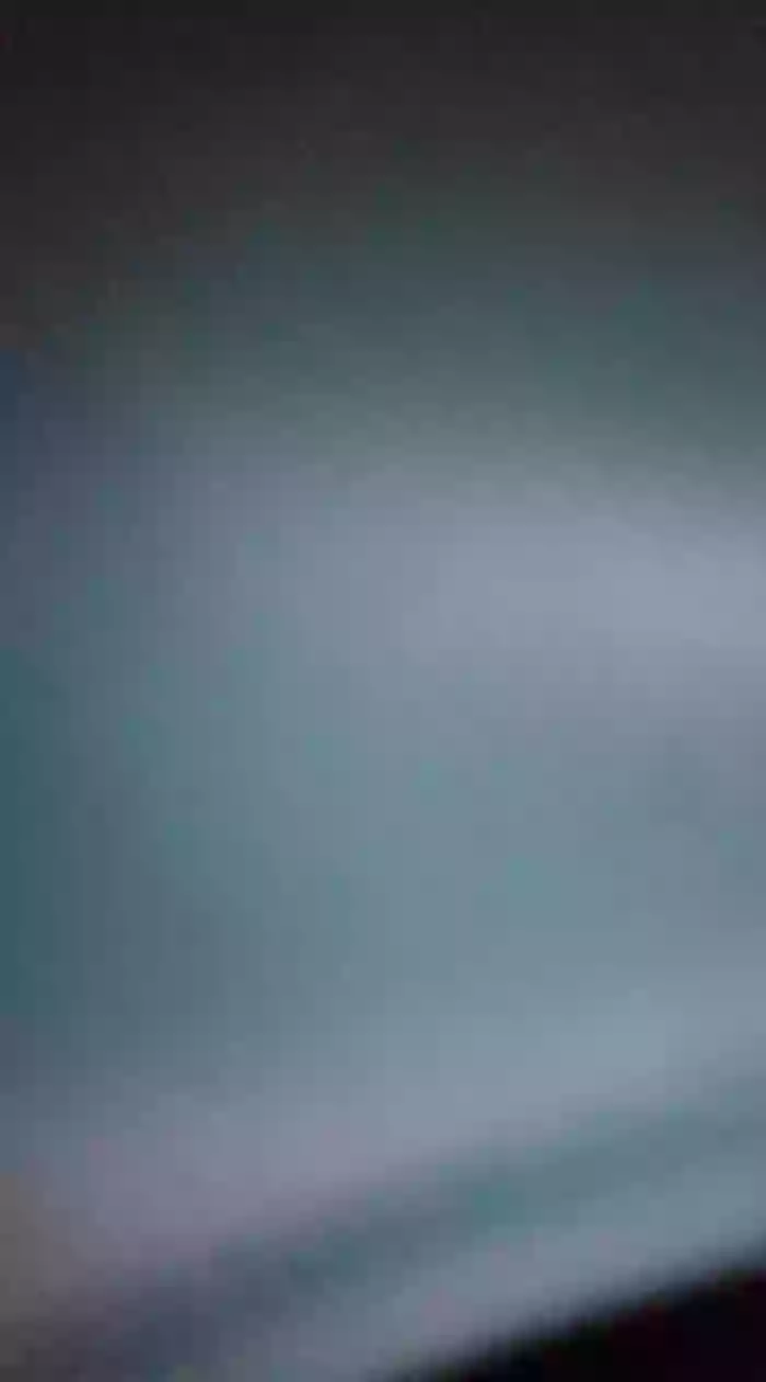 Armyexhibitionistveteran