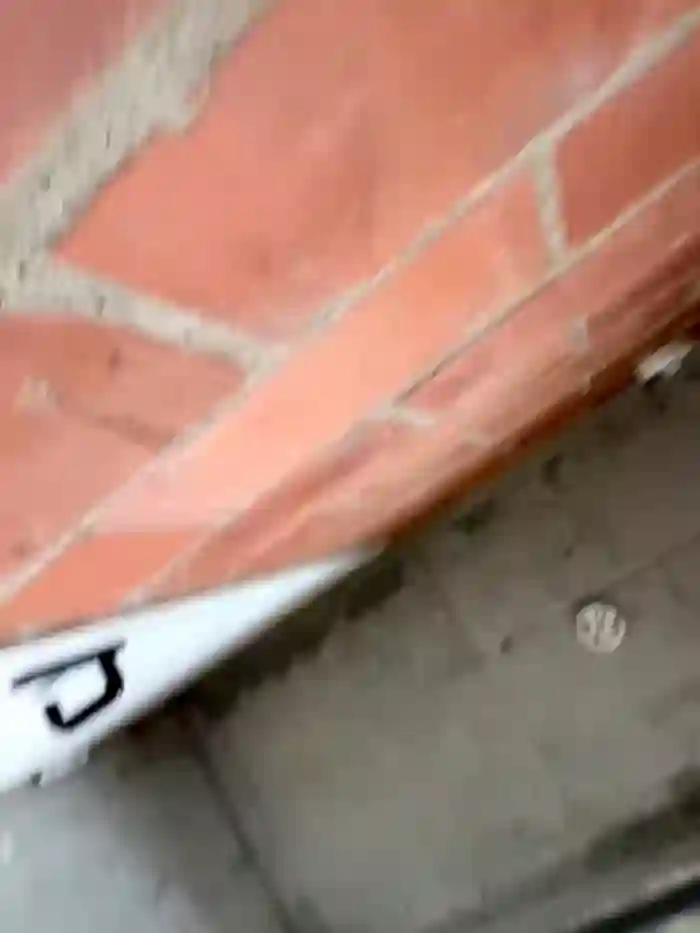 MiaLujan_