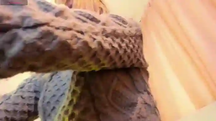 Sabrina_Cole