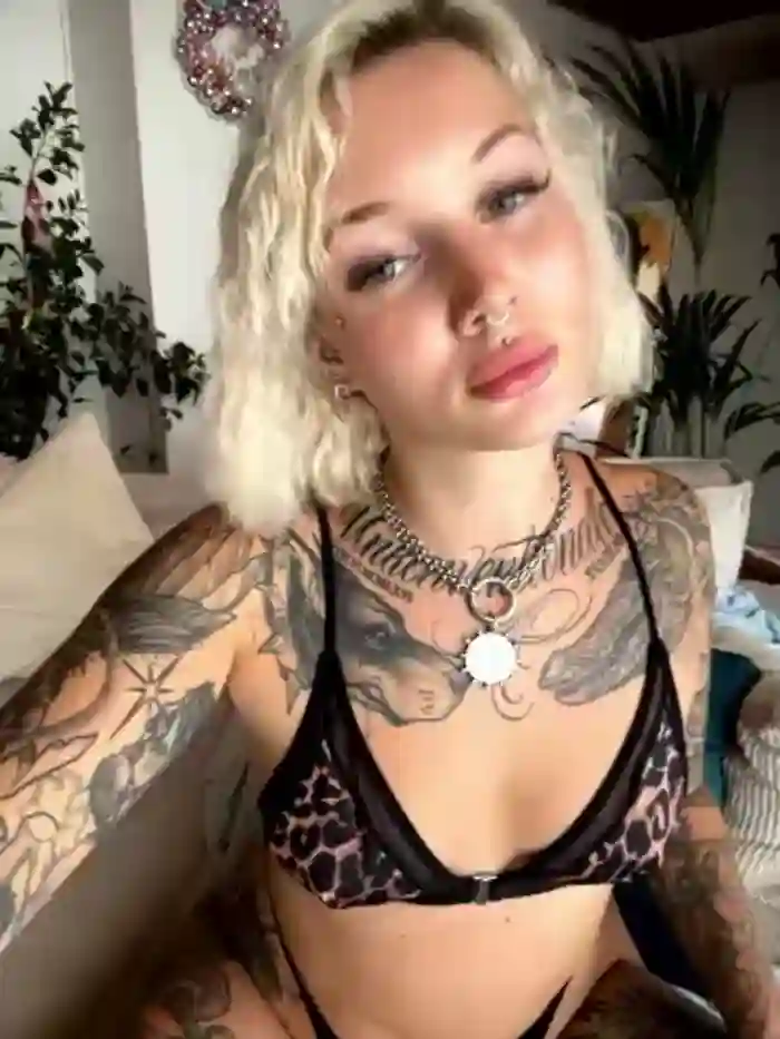 Stella-Kink