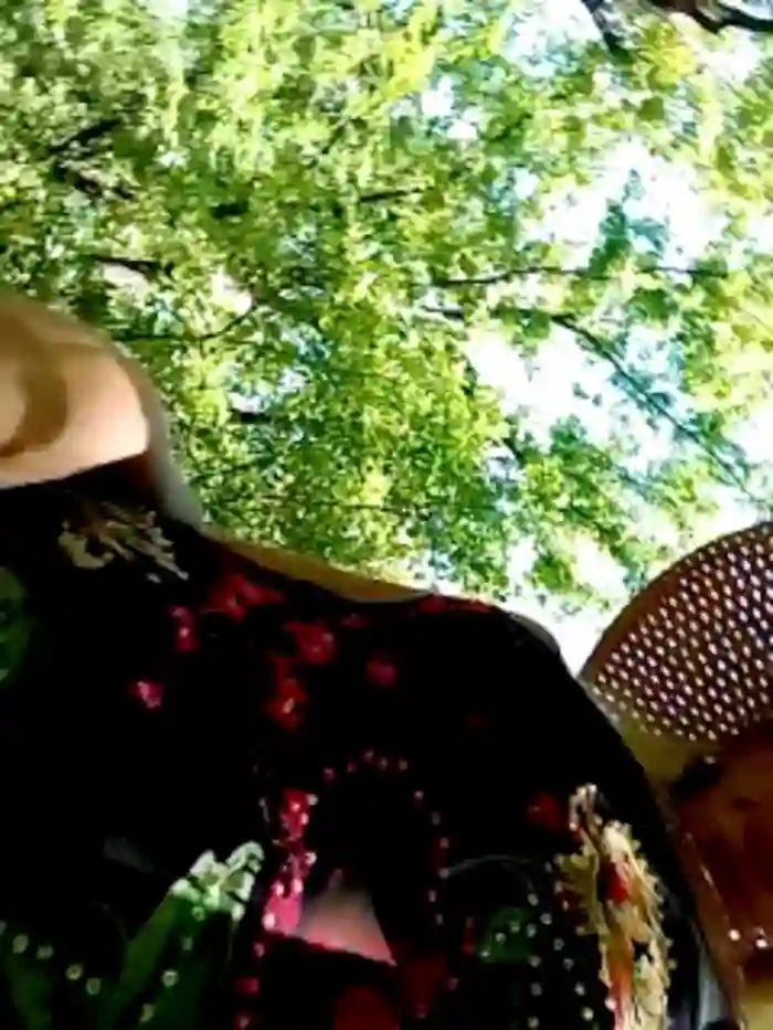 CassandraSandra44