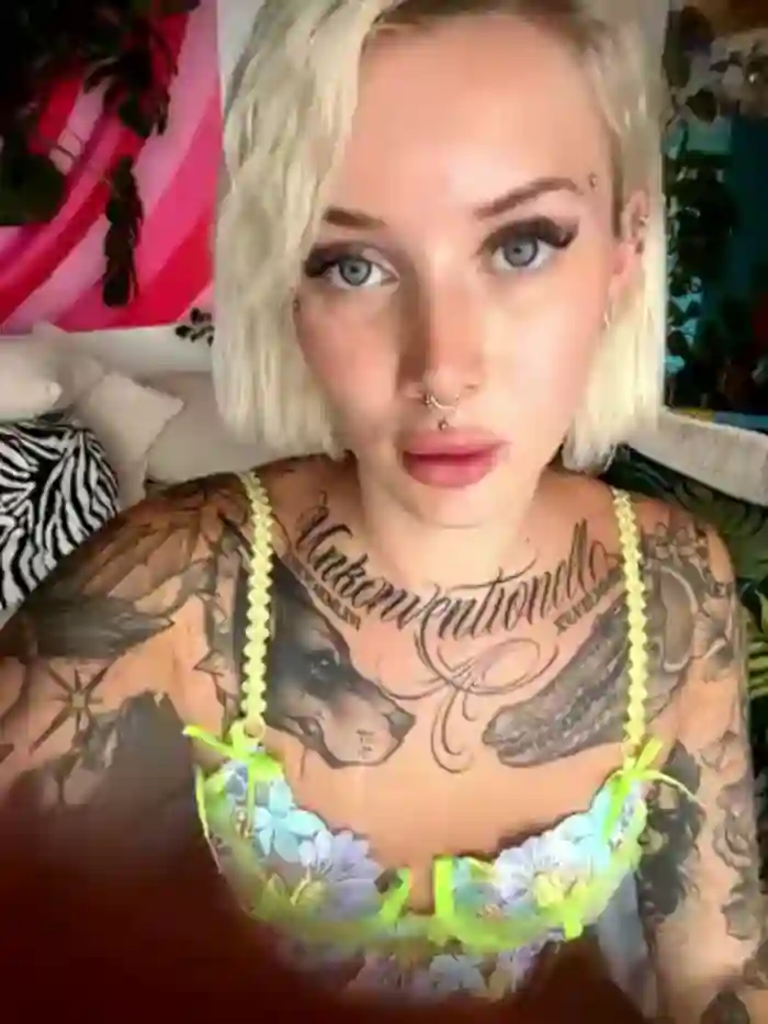 Stella-Kink