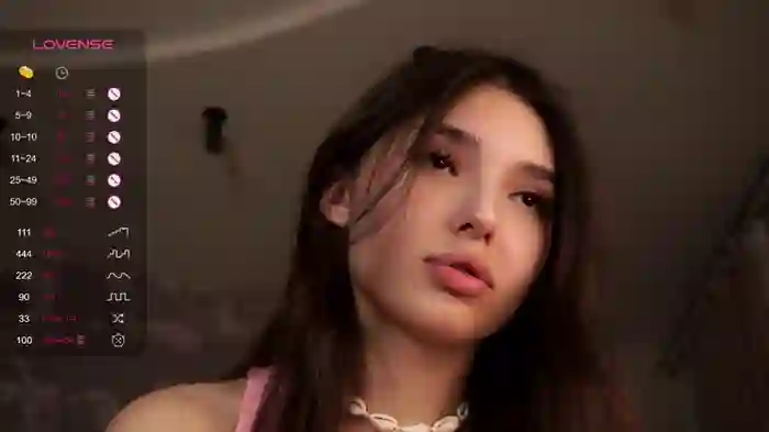LoraAtcher
