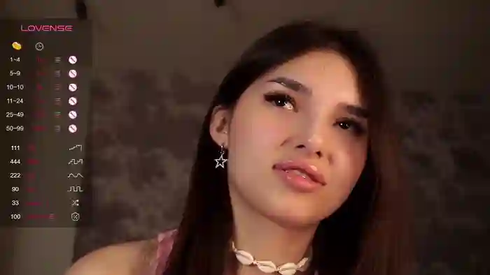 LoraAtcher