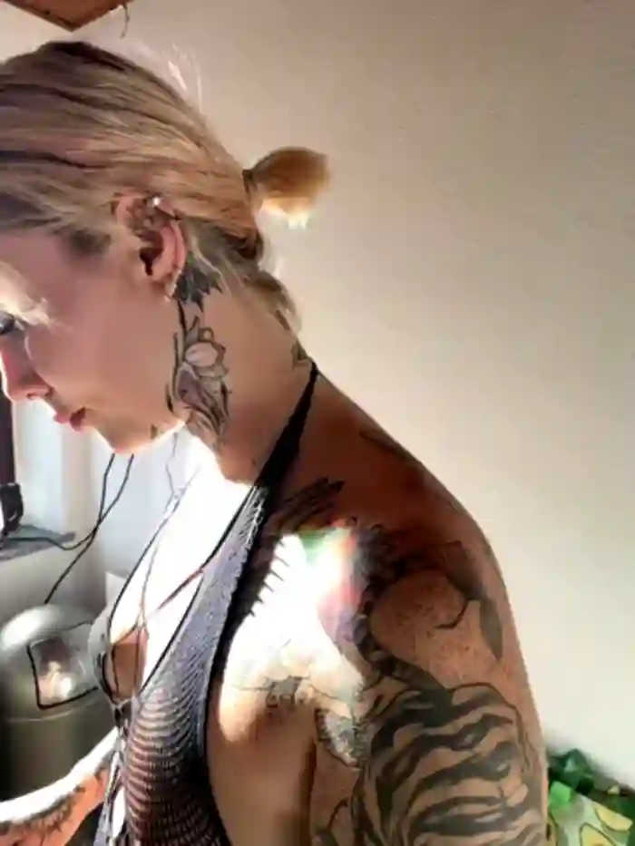 Stella-Kink