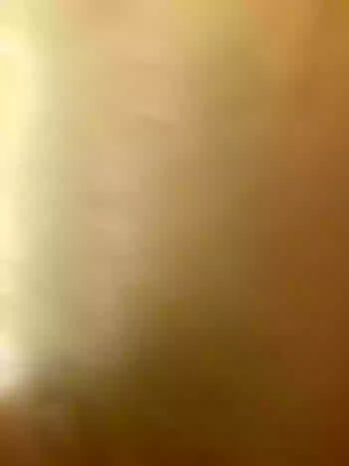wow_dream