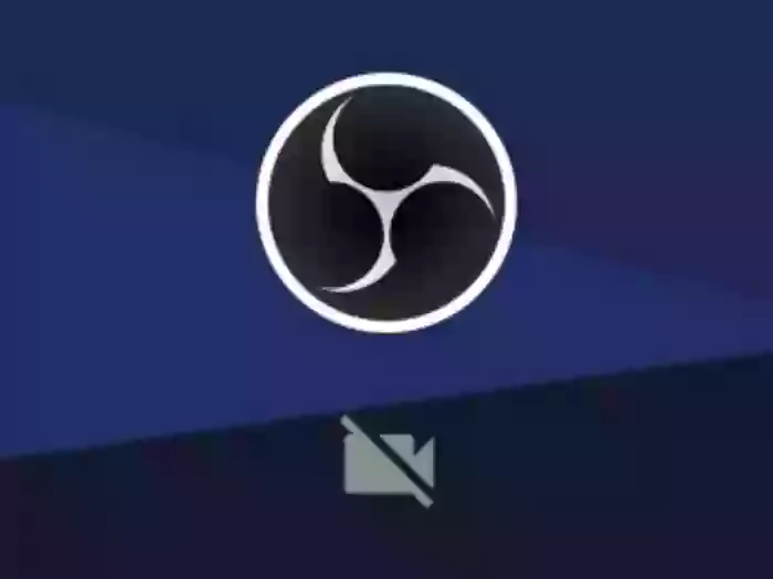 6_bunny_9