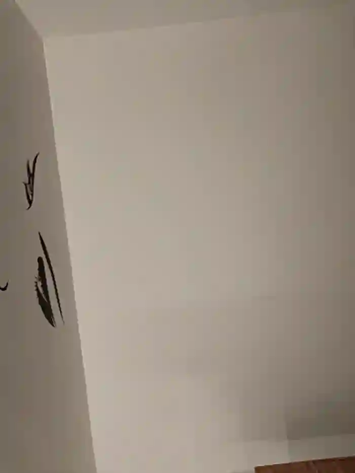 Jassmine3