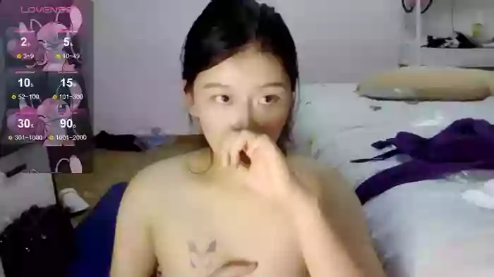 Qin520SC