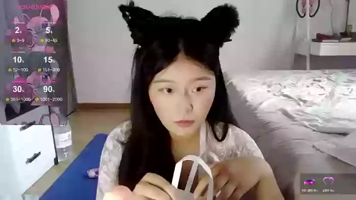 Qin520SC