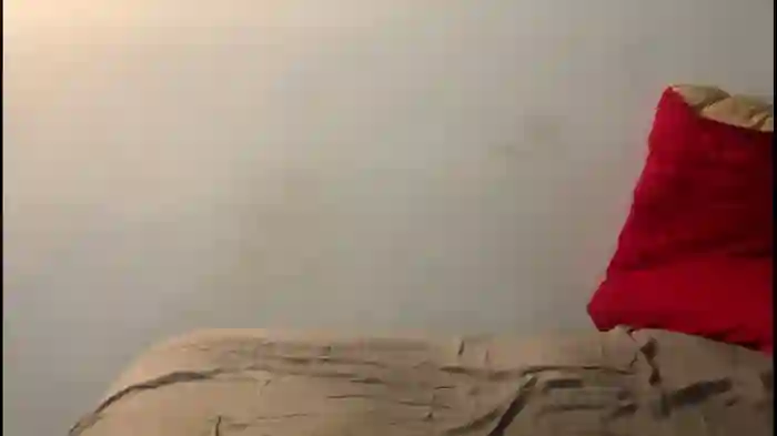 leanjamesdean