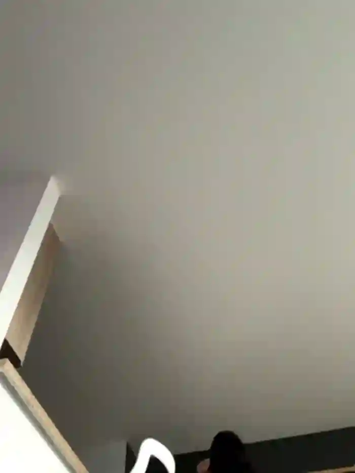 Irish_Collins