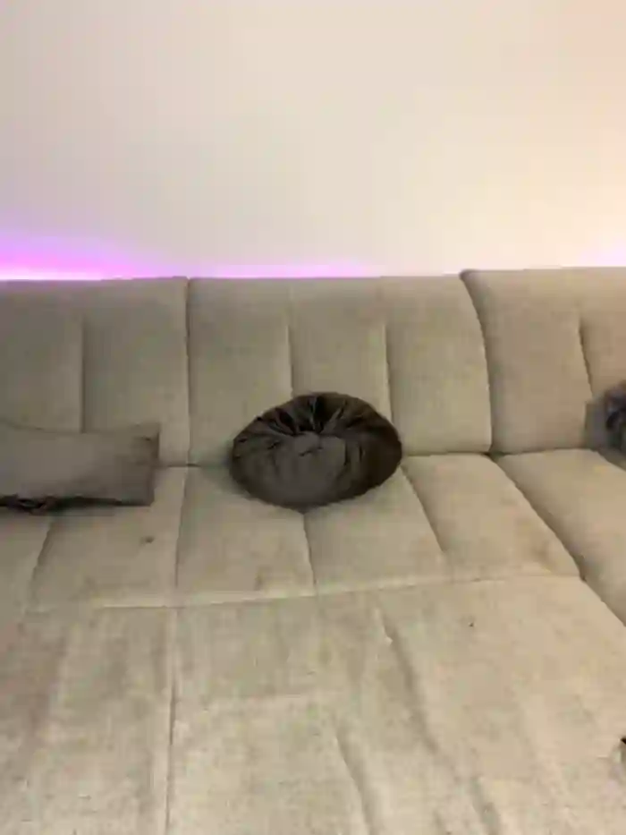 Vivian_Jafer