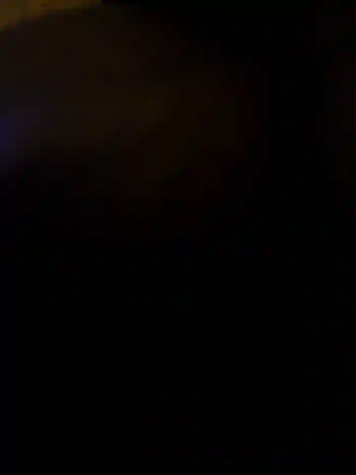 Armyexhibitionistvet